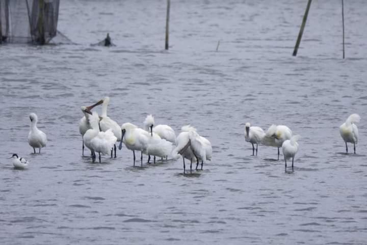 水鳥之家民宿 头城 外观 照片